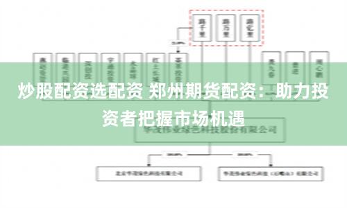 炒股配资选配资 郑州期货配资：助力投资者把握市场机遇