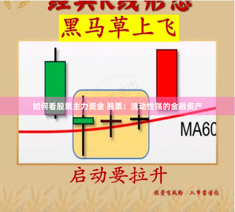 如何看股票主力资金 股票：流动性强的金融资产